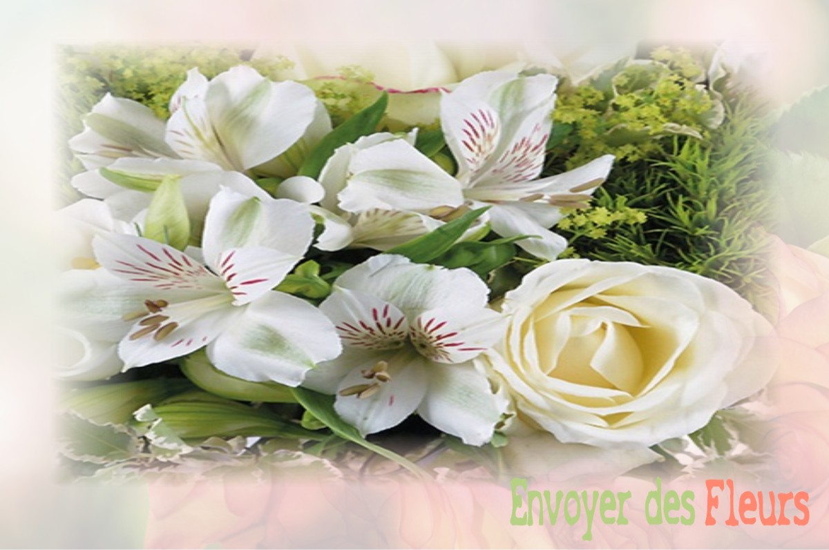 envoyer des fleurs à à VILLERS-LES-ORMES